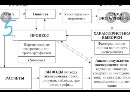 1) название экспериментальной работы; 2) цель эксперимента; 3) приборы и оборудование, применяемые в