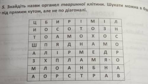 Рэвалы, Завдання 5. Знайдіть назви органел тваринної клітини. Шукати можна в будь-якому напрямку