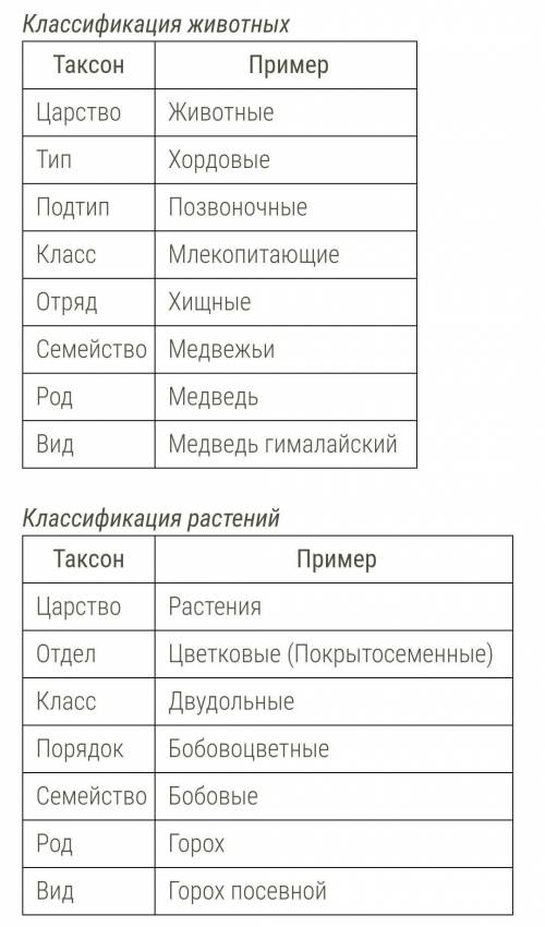 Нужно сделать логобук по биологии тема систематика ​