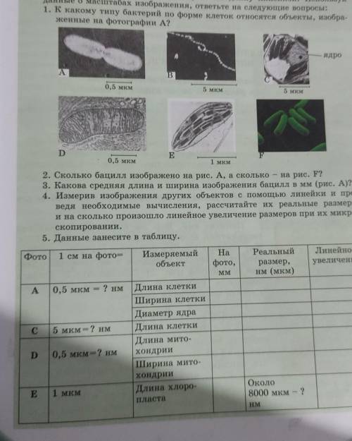 Данные занесите в таблицу.Нужна только таблицаЗаранее за