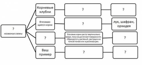 Задание 1. Рассмотрите схему строения корня и выполните задания. (файл прикреплен) 1. Напишите назв