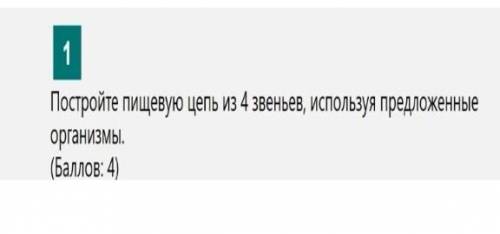 Помагите плез плез брат болсандар маган