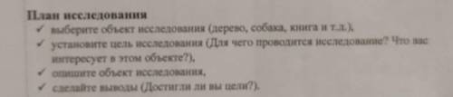 Составьте план проведения исследование по теме Как влияет выбрасываемый мусор на окружающую среду?