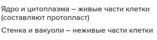 Назовите живые и неживые части клетки.