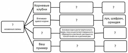 Рассмотрите приведённую ниже схему. Дайте название схеме, дополните её необходимыми данными, примера