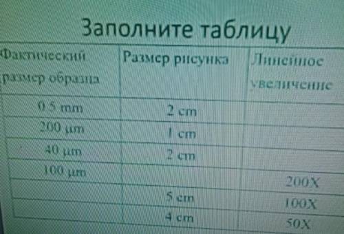 Заполните таблицу фактический Рахмер рисунки инейное размер образа BCMCHIC І 2 cm алi yo шл1 00 1 cm