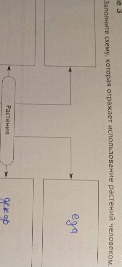 для чего человек использует растения? шесть табличек для ответа)