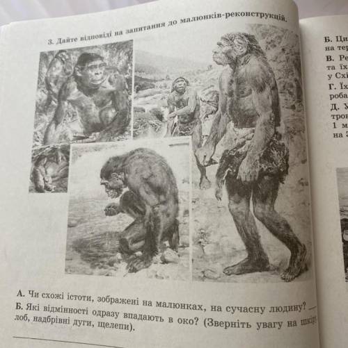 3. Дайте відповіді на запитання до малюнків-реконструкцій. А. Чи схожі істоти, зображені на малюнках