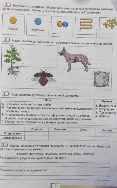 решите две страницы на фото