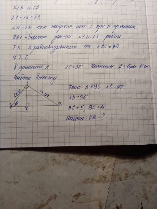 Дано: ABC, C=90° A =30° AC=5см , BC=12 см Найти:CK