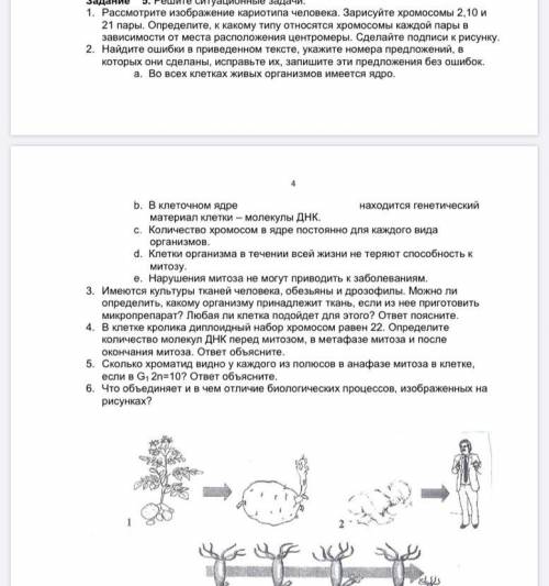 Генетика. 7. Общая масса всех молекул днк в 46 соматических хромосомах одной соматической клетки чел