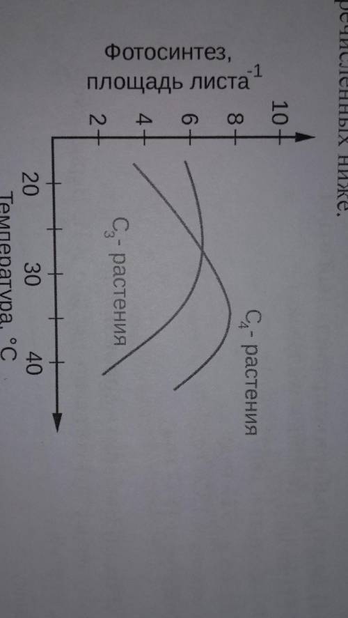 4. ( ) Выберите правильный ответ. На графике указано изменение интенсивности фотосинтеза С3- и С4-ра