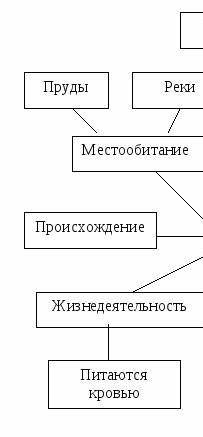 Составить кластер клетка не менее 30 понятий как можно скорее​