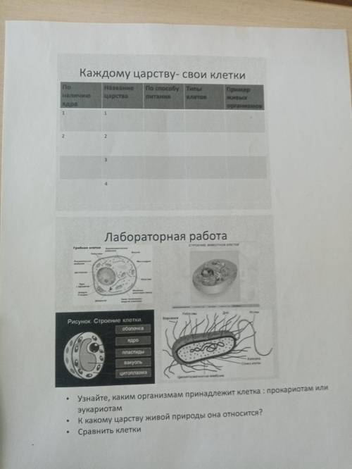 с заданием я плохо понимаю