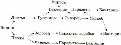 Составьте пищевую цепь из 10 организмовпо биологии ​