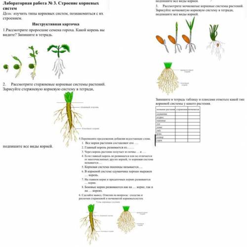 с лабораторной 6 класс биология.