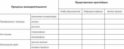 Заполните таблицу, отметьте знаком + процессы, характерные для амёбы обыкновенной, инфузории-туфел