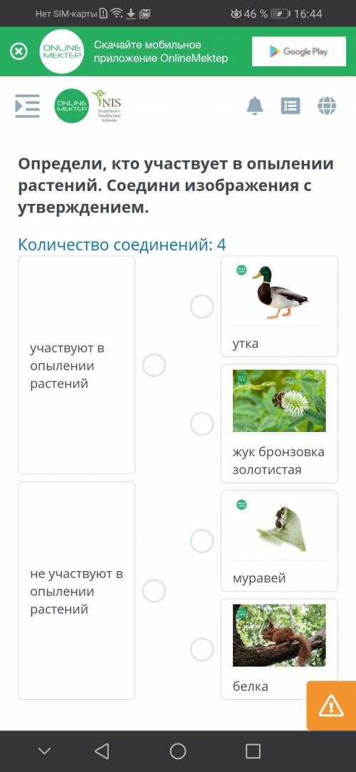 Естествощнание 4 КЛАСС. OnlineMektep - Определи кто участвует в опылении растений? Соедени изображен