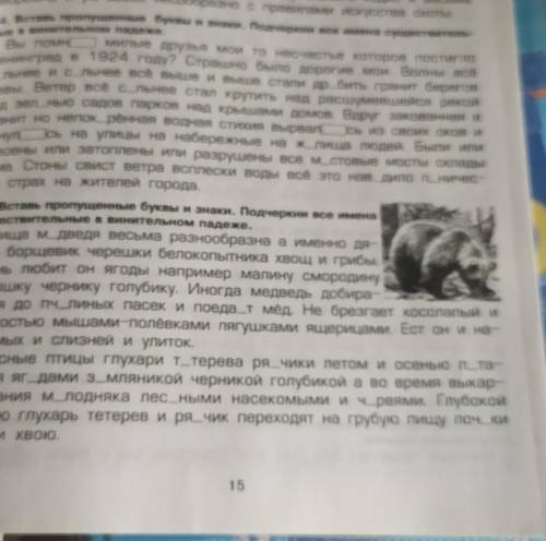 45. Вставь пропущенные буквы и знаки. Подчеркни все имена существительные в винительном падеже. Пища