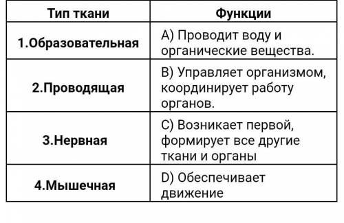 Установите соответствие между типами тканей и их функциями.