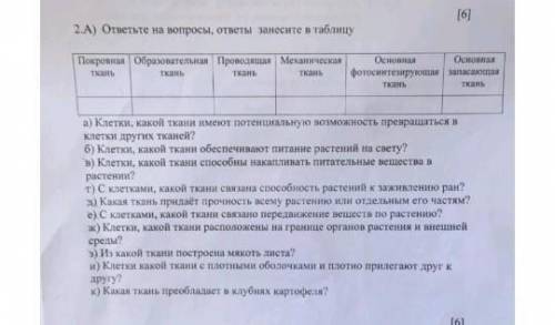 Кто шарит в биологии (8кл) А) Клетки, какой ткани имеют потенциальную возможность превращаться вКлет