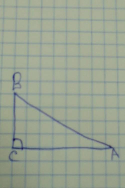 Отметьте на координатной плоскости точки A (-4 ;2) B (0,;-3)и M(5;2).постройте треугольник ABM. найд