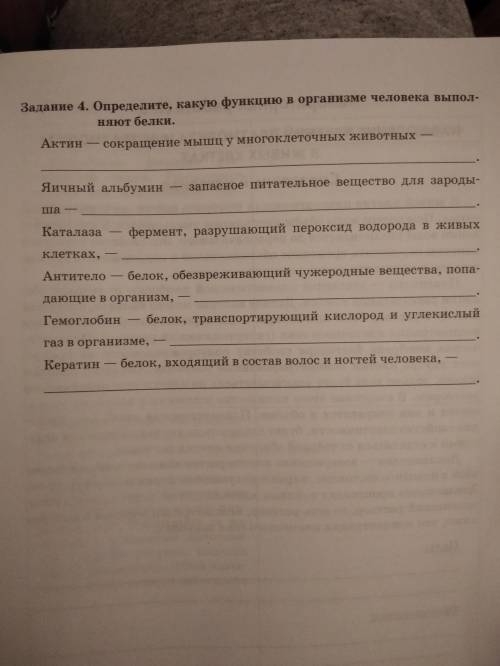 Определите какую функцию в огранизме человека выполняют белки Актин, Яичный альбум, Каталаза, Антите