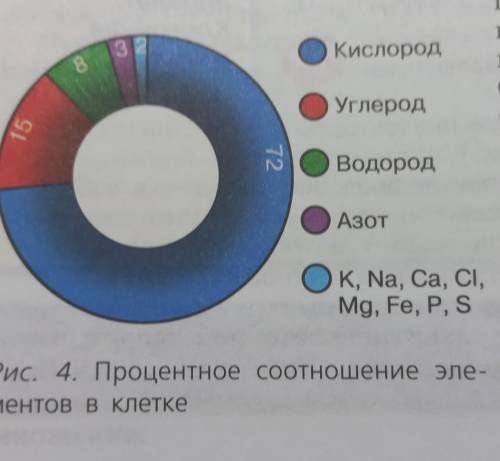 Составить описание- рассказ по картинкам ниже.