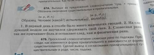 (м. р., И. п.) 67A. Выпиши из предложений словосочетания сущ. + прилаг. Обозначь окончания существ