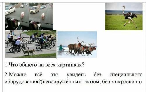 Что общего на всех картинках? 2.Можно всё это увидеть без специального оборудования?(невооружённым г