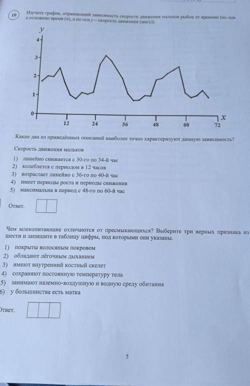 10 Изучите график, отражающий зависимость скорости движения мальков рыбок от времени (по осих отложе