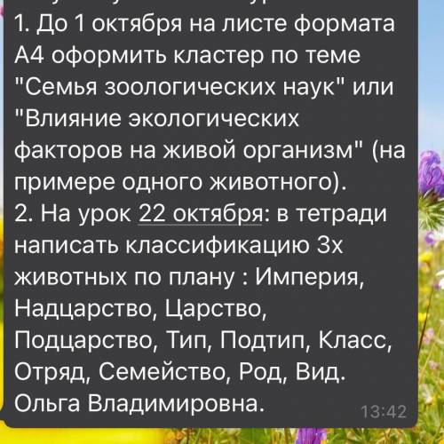 В тетради написать классификацию 3-х животных по плану :Империя,Надцарство,Царство,Подцарство,Тип,По