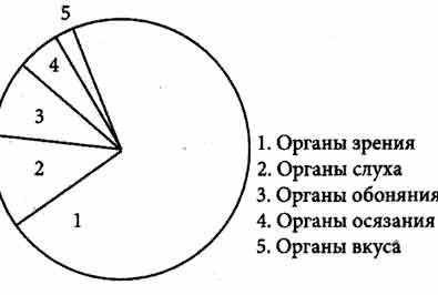 На сколько процентов физически здоровый человек получает информацию при органов зрения? а) 1-5%б) 8-