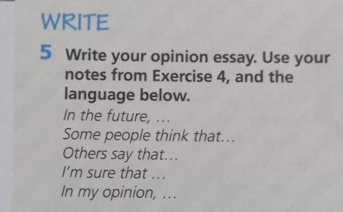 Write your opinion essay. Use your notes from Exercise 4, and the language below.