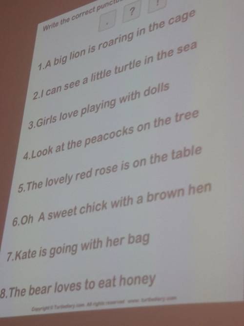 Write the correct punctuation ? . !1.A big lion is roaring in the cage2. Ican see a little turtle in