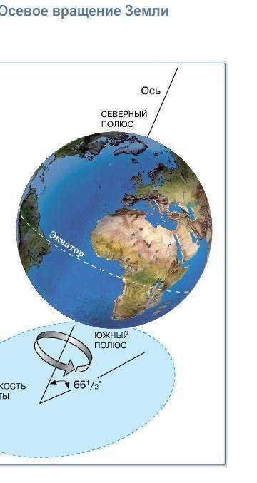 Движение земли осевое вращениеорбитальное движениесжимаемость Земли у полюсовещё два ответа каких...