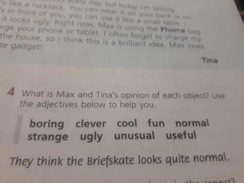 What is Maх and Tina's opinion of each object? Use the adjectives below to help you. boring clever c