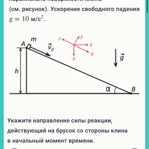 Маленький брусок массой m находится на вершине закрепленного гладкого клина. Трение в системе отсутс