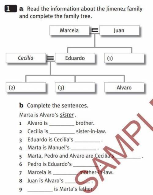 Complete the sentences. Marta is Alvaro’s sister . 1 Alvaro is brother. 2 Cecilia is sister-in-law