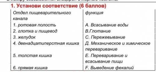 Функции пищеварительного отделатест дам 25б