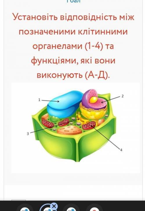 Яким чином подвоюються молекули ДНК? РозділенняКопіюванняПоділРозмноженняВкажіть складові клітини, я