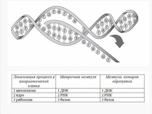 Задание _ содержит три колонки информации, в каждой из которых она обозначена цифрами. Выберите из к