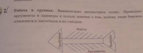 работа в группах Внимательно рассмотрите схему Приведите аргументы и примеры в пользу мнения о том П