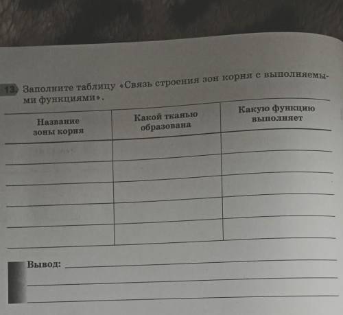 Заполните таблицу «Связь строения зон корня с выполняемыми функциями