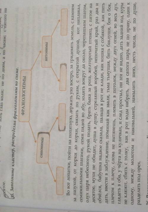 Заполните кластер Распредели в фразеологизм по схеме