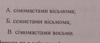 Правильно записано форму орудного відминку числивника в рядку?