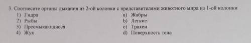 3. Соотнесите органы дыхания из 2-ой колонки с представителями животного мира из 1-ой колонки 1) Гид