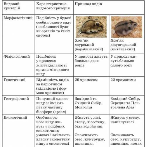 іть мені потрібно про бурого ведмедя і білого