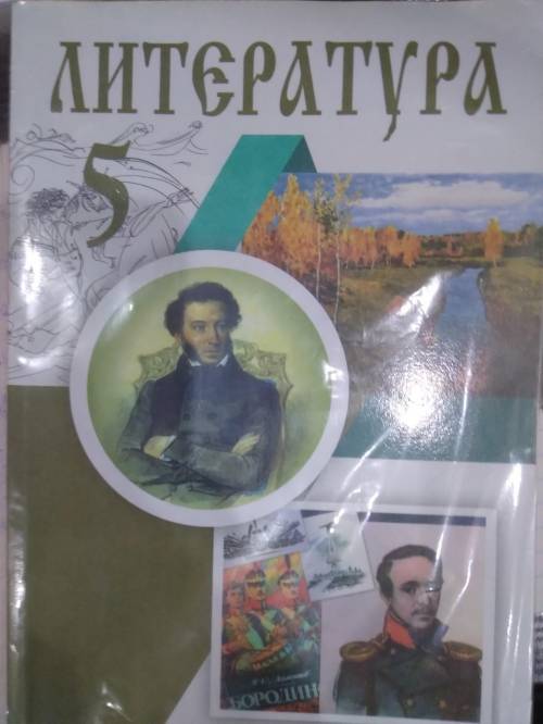 Упр 80. Выпишите из учебника <<Литература>> 4-5 предложений с местоимением. Укажите их р