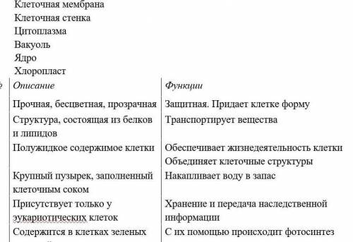 Определите структуры клеток по описанию и функции А. Клеточная мембранаB. Клеточная стенкас. Цитопла